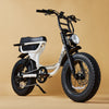 SWELL OFF-ROAD 2026